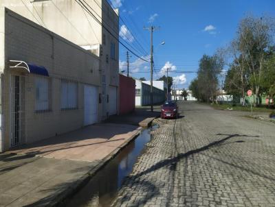 imagem-miniatura